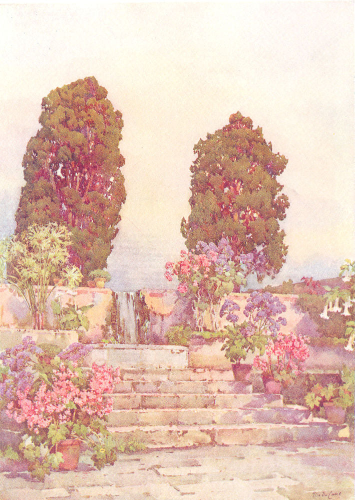 CANARY ISLANDS/ISLAS CANARIAS. Tenerife. Botanical Gardens, Orotava 1911 print